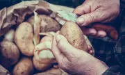 114-годишна жена твърди, че картофите са храната, която е причина за дълголетието й