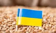 Снимка ЕС прекратява търговските отстъпки за Украйна