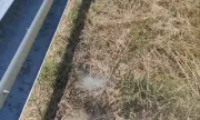 Огнеборец спря пожар, причинен от хвърлена цигара край Сопот