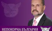 Калоян Методиев: Войната между Пеевски и Борисов започна