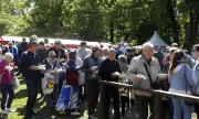 ������ ��� ������ ������� �� ������ �� ��������