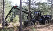 Експерти: Горският сектор се нуждае от отделяне от Министерството на земеделието и храните