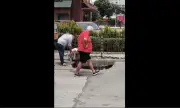 ������ �������� ���� �� ������� ������ �� �������� � �����