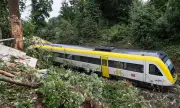 Влак с над 200 пътници се блъсна в паднало дърво в Германия