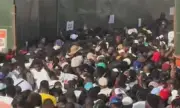 ������ ���������� �� �������� � ������: ��� 20 ������ � �����