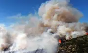 ������ ������� � ��������� ���� ������������ ������ ���