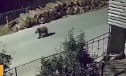 ������ ����� ����� ����� ����� � �������� ���� 