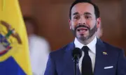 ������ ���� ��������������: �������� ���� ����� �� ������ �������� ����