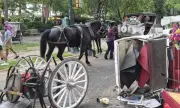 ������ ��������� ��� ������ ������ � ��� ������ � ������� ���� � �� ����