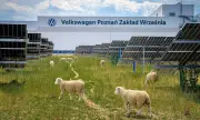 ������ Volkswagen ��� 100 ����, �� �� �� ������� � ������� ������