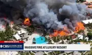 ������ �������� ���������, ����� ������ � ������� ���������� ���� ����� � �������� � ���������� �����