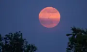 ������ ������� ���������� �� 29 ��� 2026 �.: ������ �� ����� �����