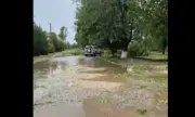 ������ ���� � �������� ������� �������� ����
