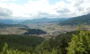        ,       