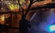 ������ ���� �������� ��� ����� ����� �� ������