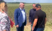 Тахов: Осигурени са средства за компенсиране на щетите от градушки