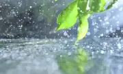  ,   , 8 :      
