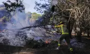������ � �������: 