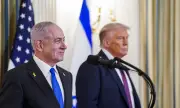������ �������� ���� �� ������ �� ���, ��� 100 ��������� ���������� ����������� �� ������������ �� �������� ����� �� ������