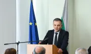 ������ �������� ��������: �������� ��� ����������� �� ������������ ���������� � ���� ������� �� ���������� �� AI