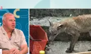 ������ ������ �� ��������� ��� ��-����� � �����