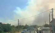 ������ ������� � ���������: 13-������� ������� ���� �����, ��� �� ���� ����� �� �����