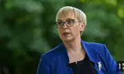 ������ ����������� �� �������� �������� � ����������