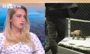Офелия Туджарова за двубоя в клетка със Стъки: Това не беше тренировка, случи се в малките часове на нощта
