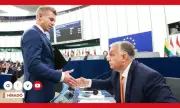 ������ ����� ����� ������� � �������� ���� ������� �� �������