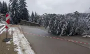 ������ ���������� � ������ �� ���������� ���� ��������� ������ ����������