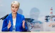 ������ ������� ���� � ��������: AfD �������� ������������� � ������� ���������