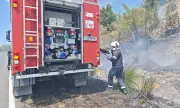 ������ ����� ����� ���� �����