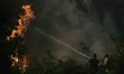 ������ ����� ������: ������ ������� � ������ � ���