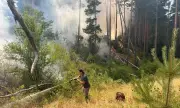������ �������� ������� ����� ���� ���� ��������� �������, ������� �� ��������������� ������