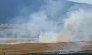 ������ ����� ����� ���� ���� �������