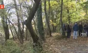 ������ ������ �� ����������� ������ ����� �� �����������