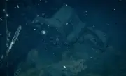 ������ ������� ������ 