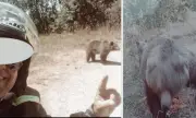    :     19-    