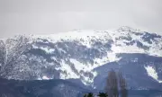 :       