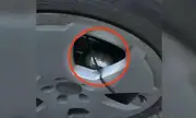 ������ ������ � ���������� ����� � ��������� � �� ������ �����, ���������� ���� �� ������������� ?