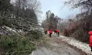 Лоши са условията за туризъм в планините