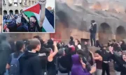 ������ ������������ � ����������� ������� ������� � ���������