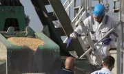 ������ ������ ���� �� ������ �������� �� ���, � �� �� �������