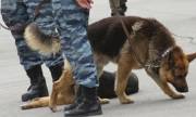 Взрив в Ростов на Дон. Eдин човек е ранен