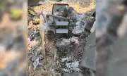 ������ ����� ��������� �� �����, ������ ���� ������ ������