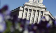 ������ ����� �������� � ���������� � ������� �� �����, ���� 20 �� �������