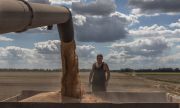 Разтрогнаха ключов договор за 240 000 тона украинска пшеница