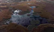 ������ ������������� ����� ����� � ���������� �������� �� ������������� �������