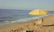   ,   , 12 :      