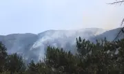 Самолет от Франция утре ще се включи в гасенето на пожара на българо-гръцката граница